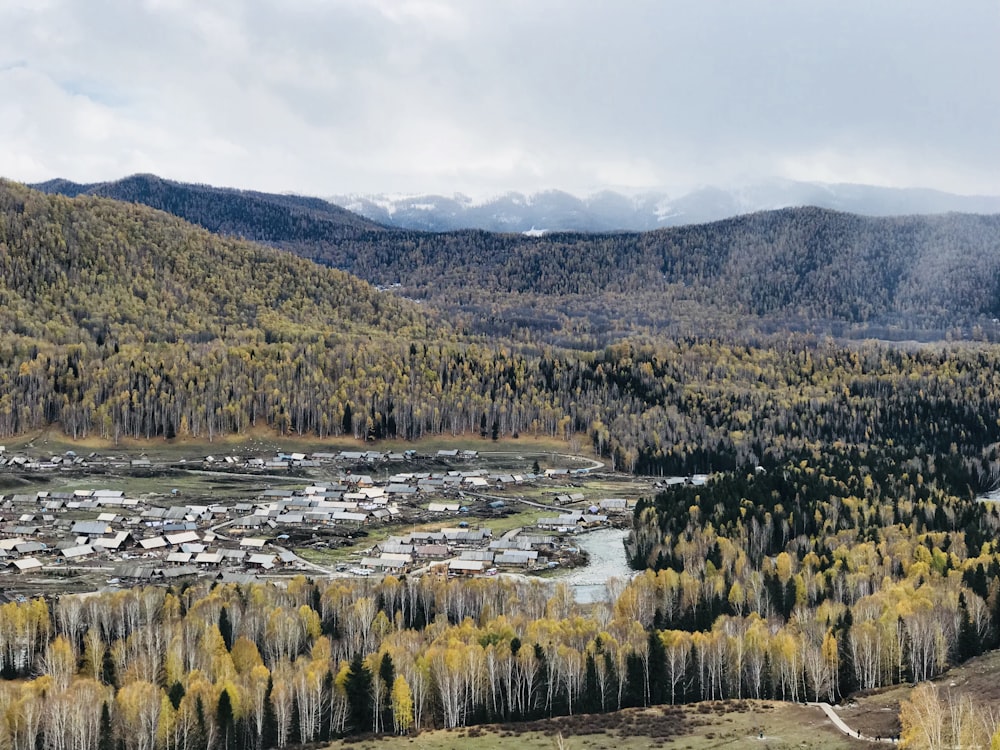 green trees near river under white clouds during daytime