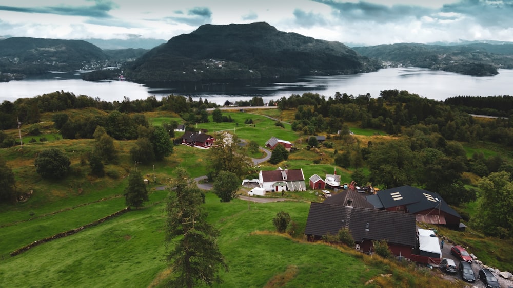 houses on green grass field near body of water during daytime