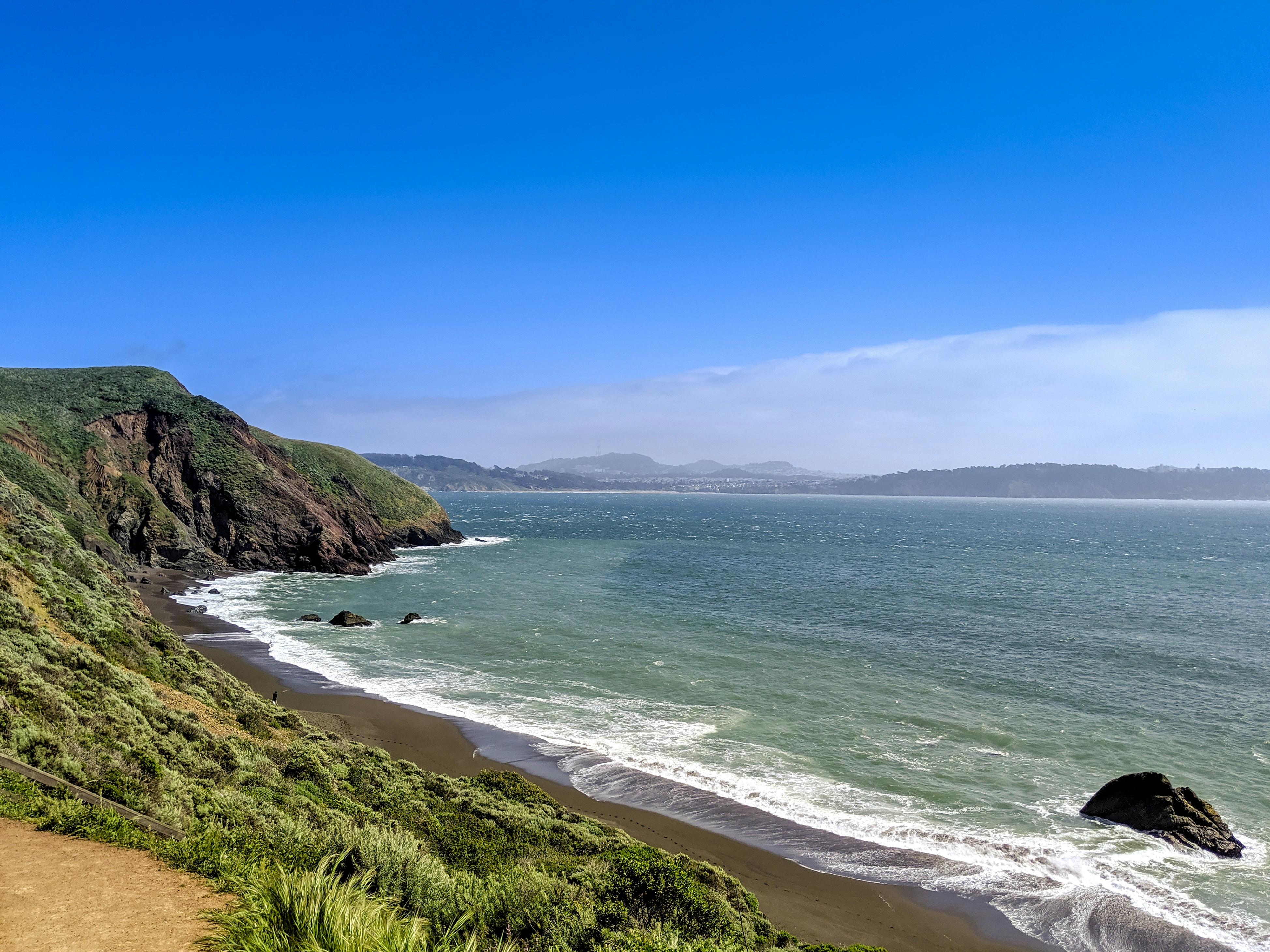 Grünes Grasfeld in Meeresnähe unter blauem Himmel tagsüber