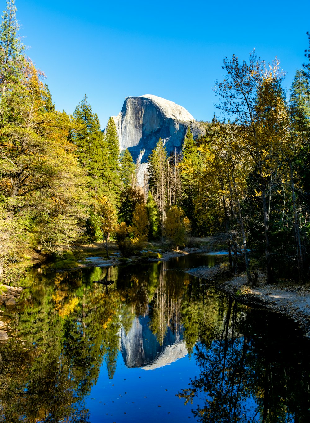 alberi verdi vicino allo specchio d'acqua durante il giorno