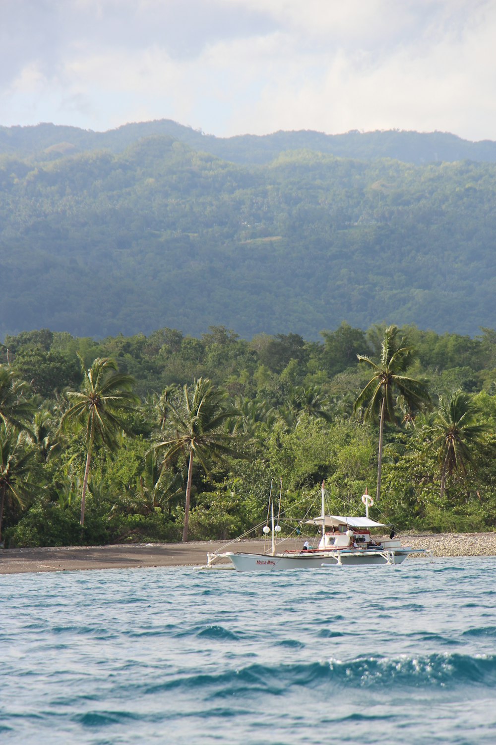 white boat on body of water near green trees during daytime