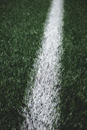 green grass field during daytime