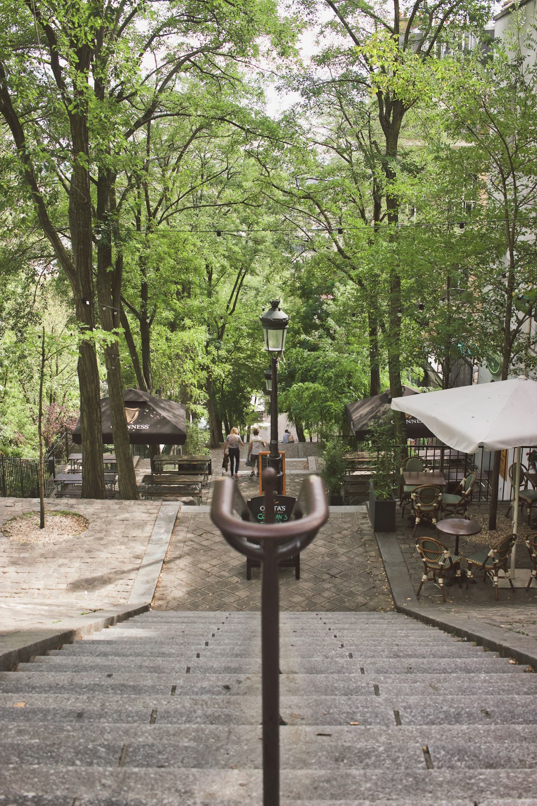 Nature reserve photo spot Paris Jardin des Plantes