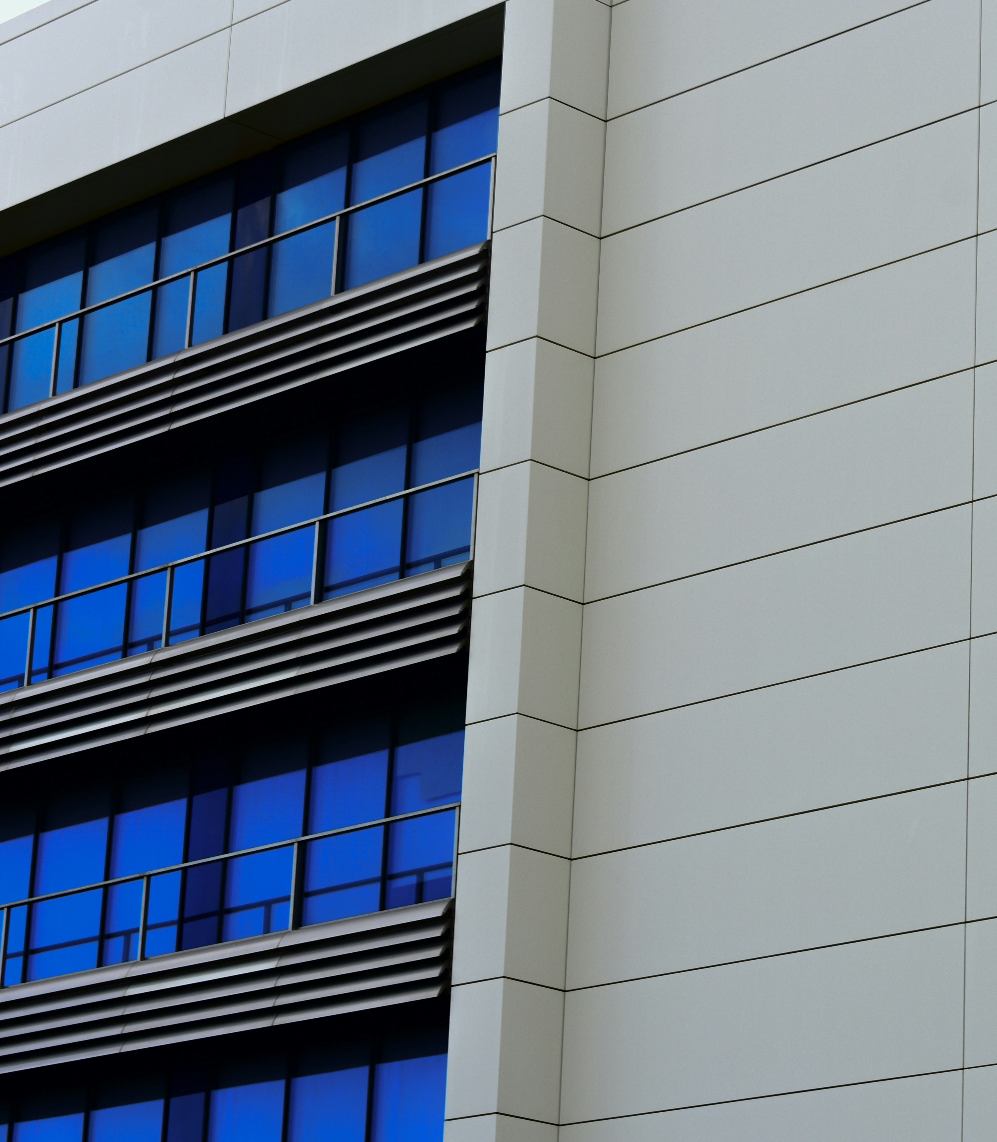 Photo by martisierraa