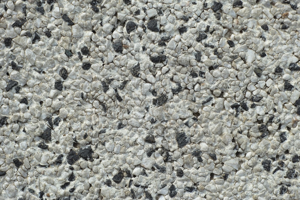 gray and white stone fragments