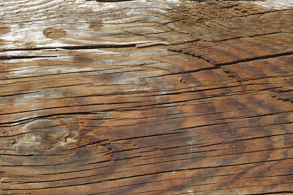 brown and white wooden surface