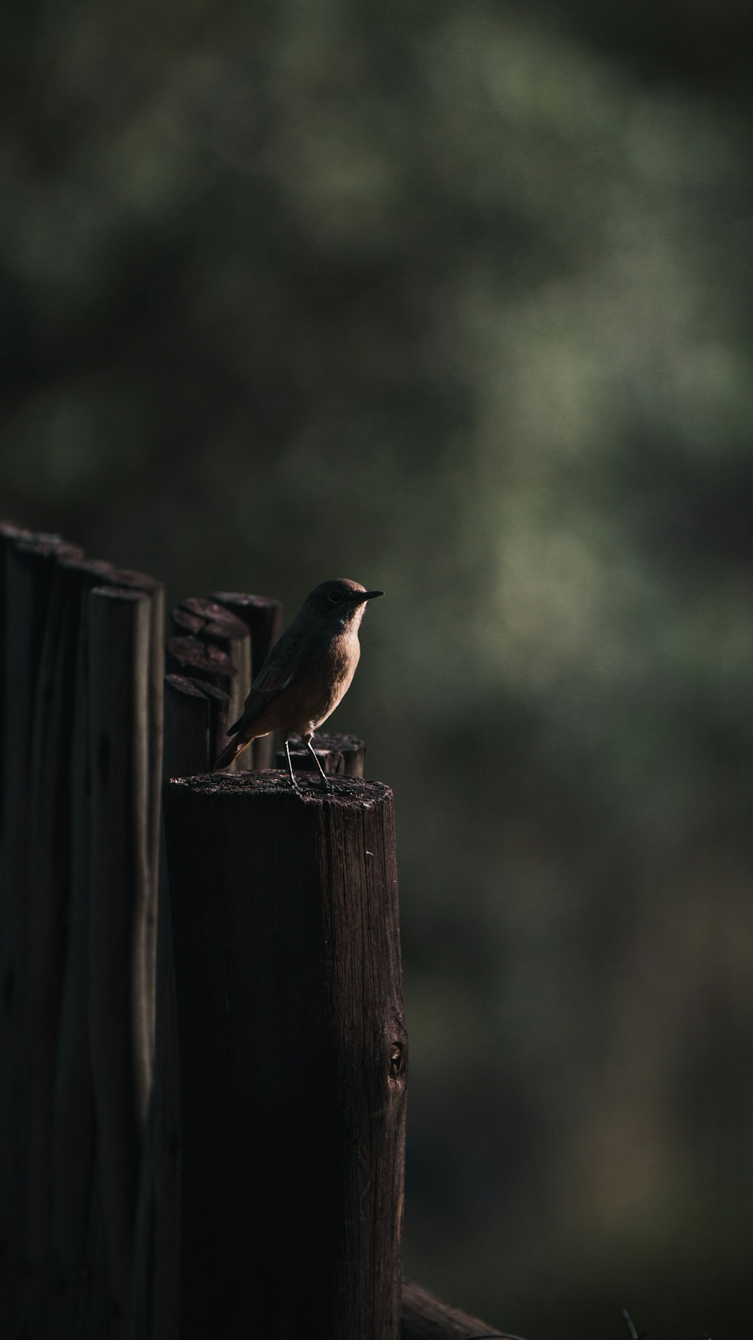 Wildlife photo spot Hartbeespoort Johannesburg