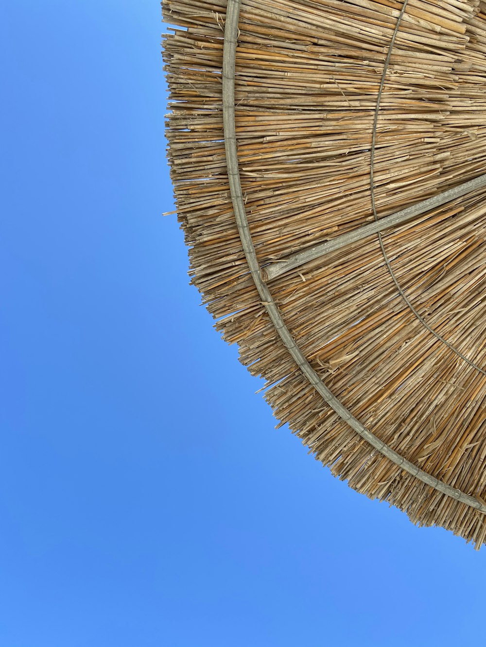 brown woven hammock under blue sky during daytime