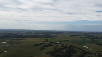 A calm and scenic view from a farming simulation game with lush green fields and animated animals.