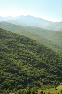 An image depicting clean air and green landscapes in Maharashtra.