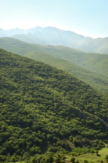 An image depicting clean air and green landscapes in Maharashtra.