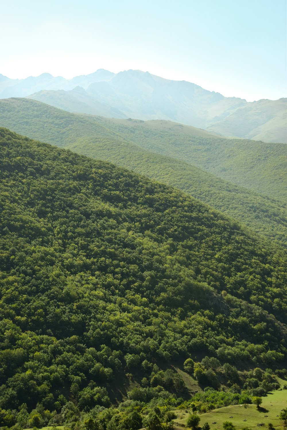 a view of a lush green hillside with mountains in the background