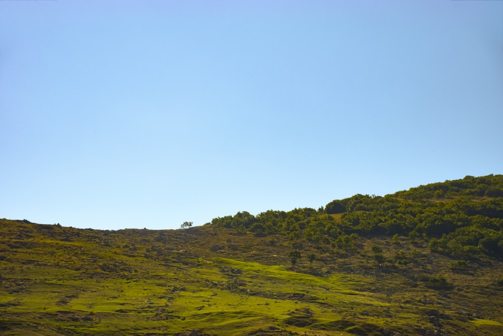 green grass covered mountain under blue sky during daytime