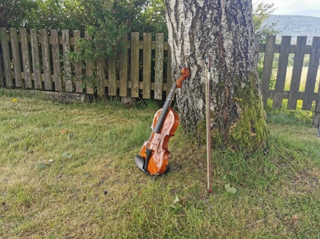 A violin rests against a tree trunk on a patch of grass in an outdoor setting. The wooden fence in the background and surrounding greenery suggest a serene, natural environment.