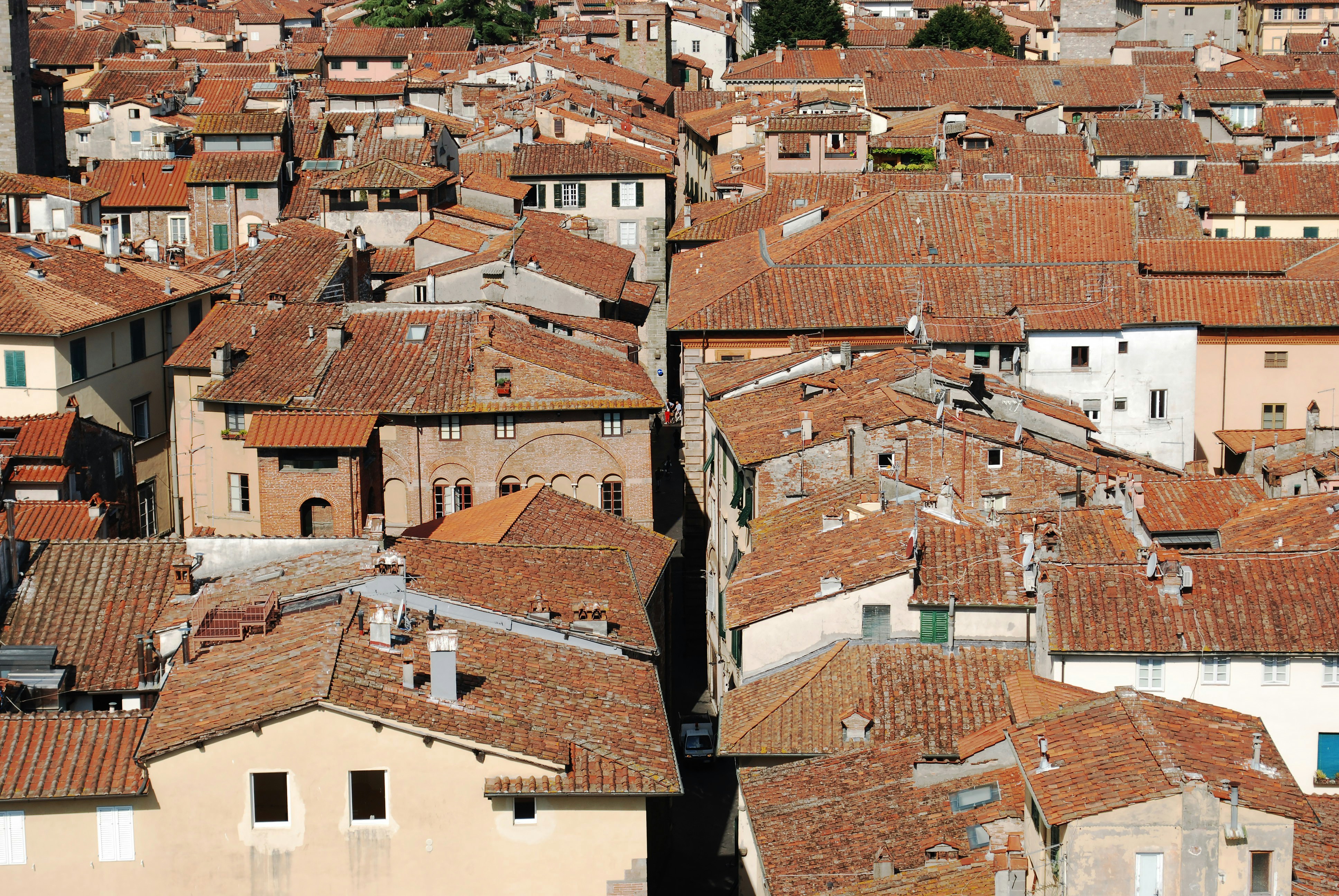 Delight in Authentic Tuscan Cuisine