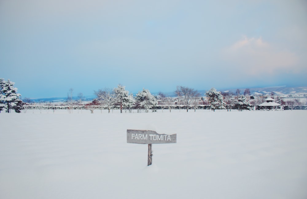 white and black wooden signage on snow covered ground