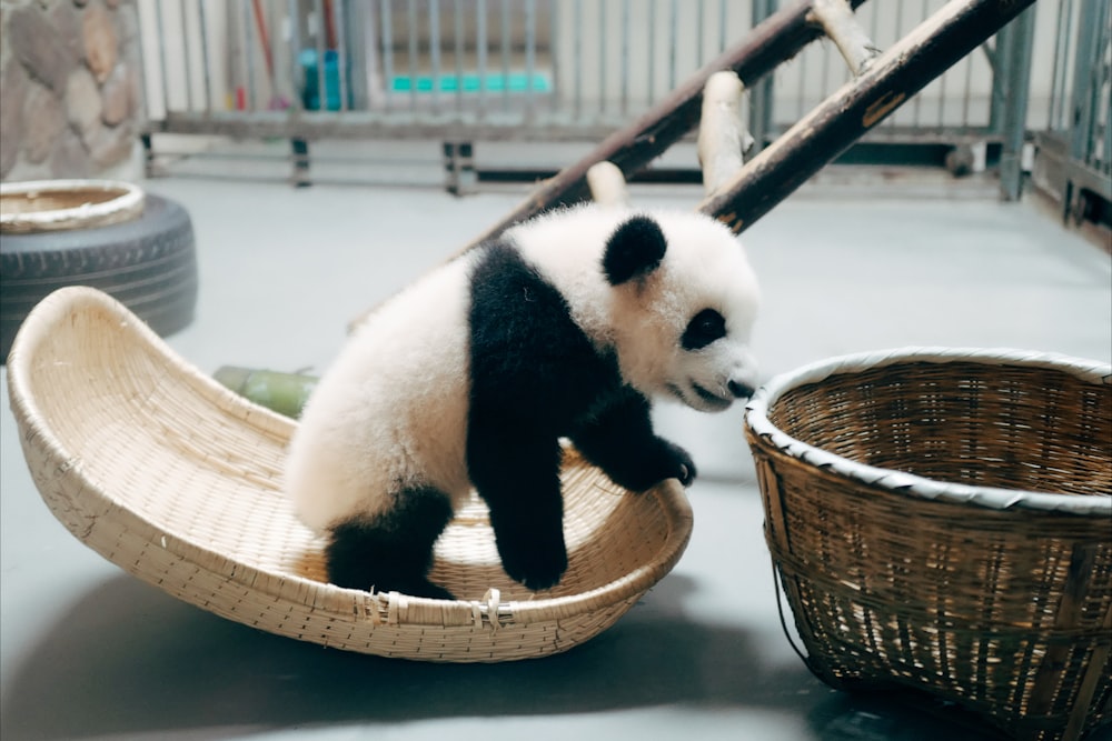 panda sur panier en bois marron