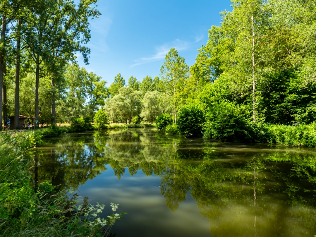 Nature reserve photo spot Geraardsbergen Bruges