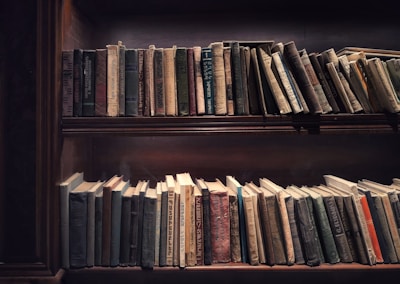 A wooden bookshelf filled with a variety of old books arranged on two shelves. The books have worn, textured covers in muted colors, indicating age and frequent use. The lighting is dim, casting a warm, cozy glow over the scene.