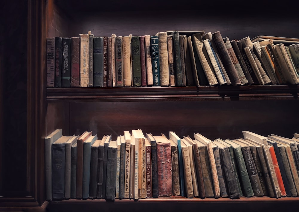 books on brown wooden shelf