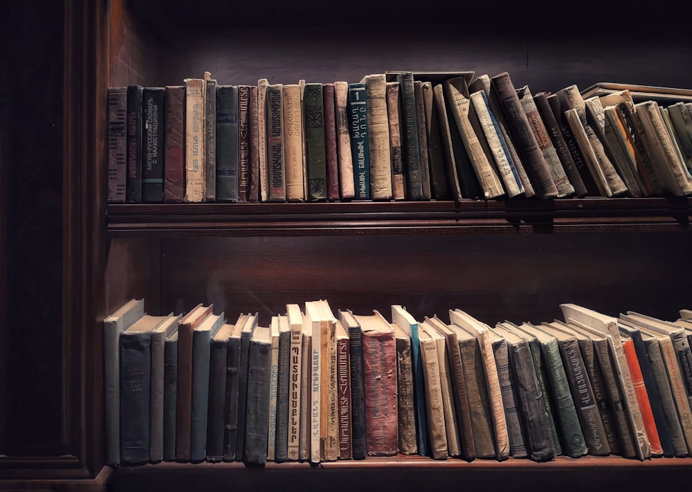 Libros en estantería de madera marrón