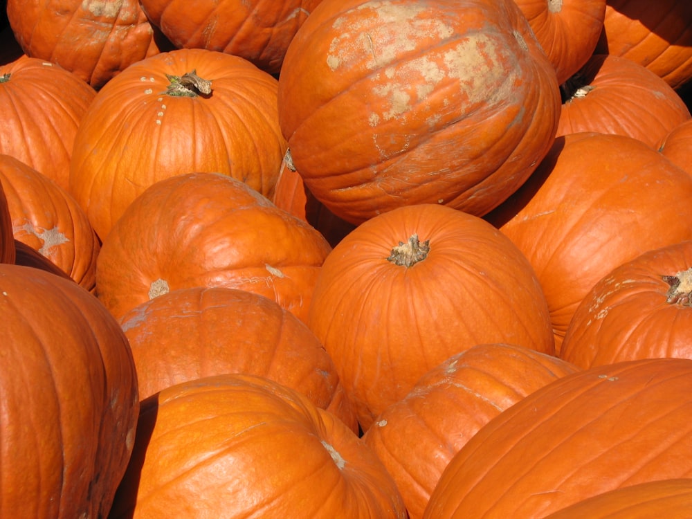 orange pumpkins on brown wooden table