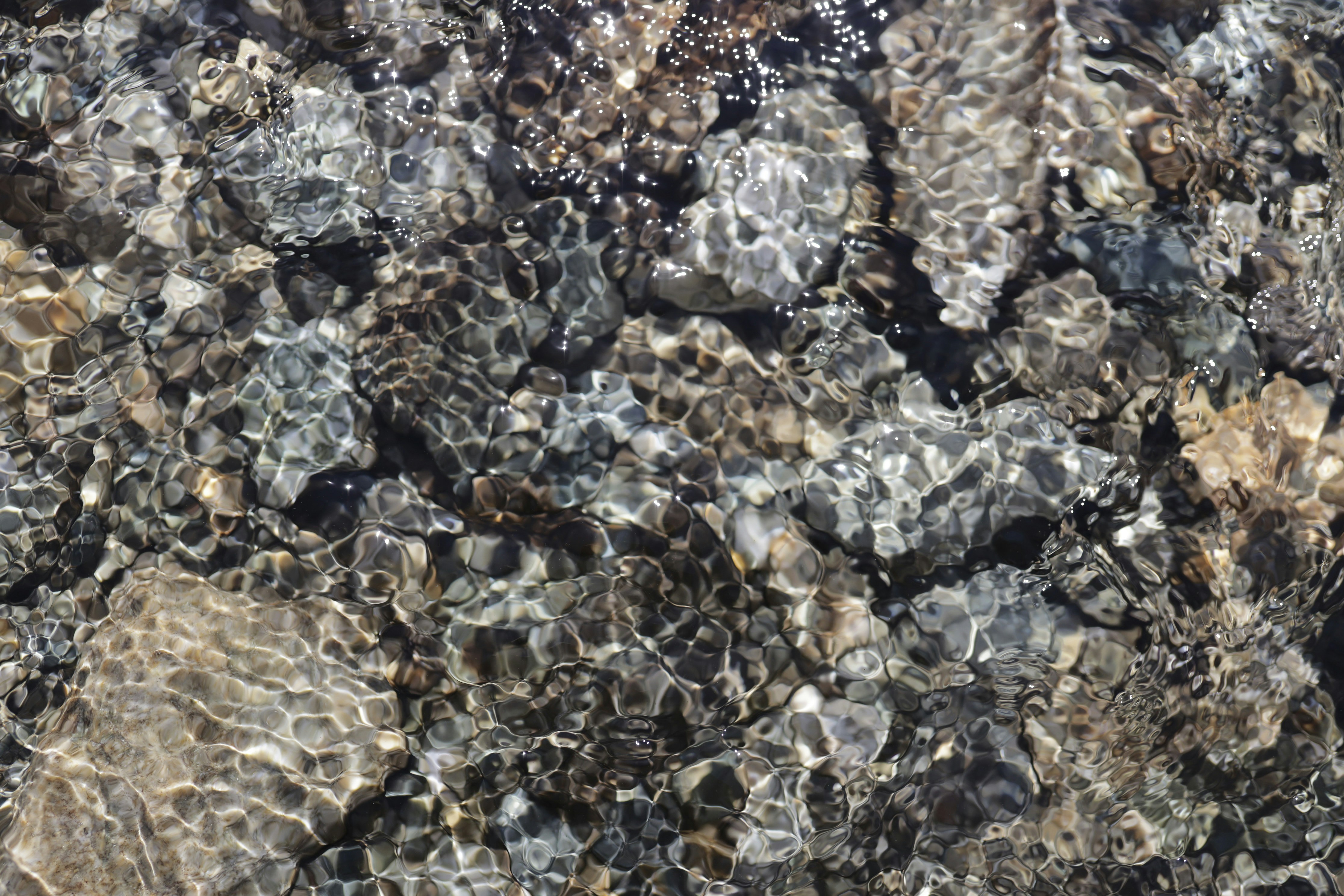 Photo by corina_rainer_