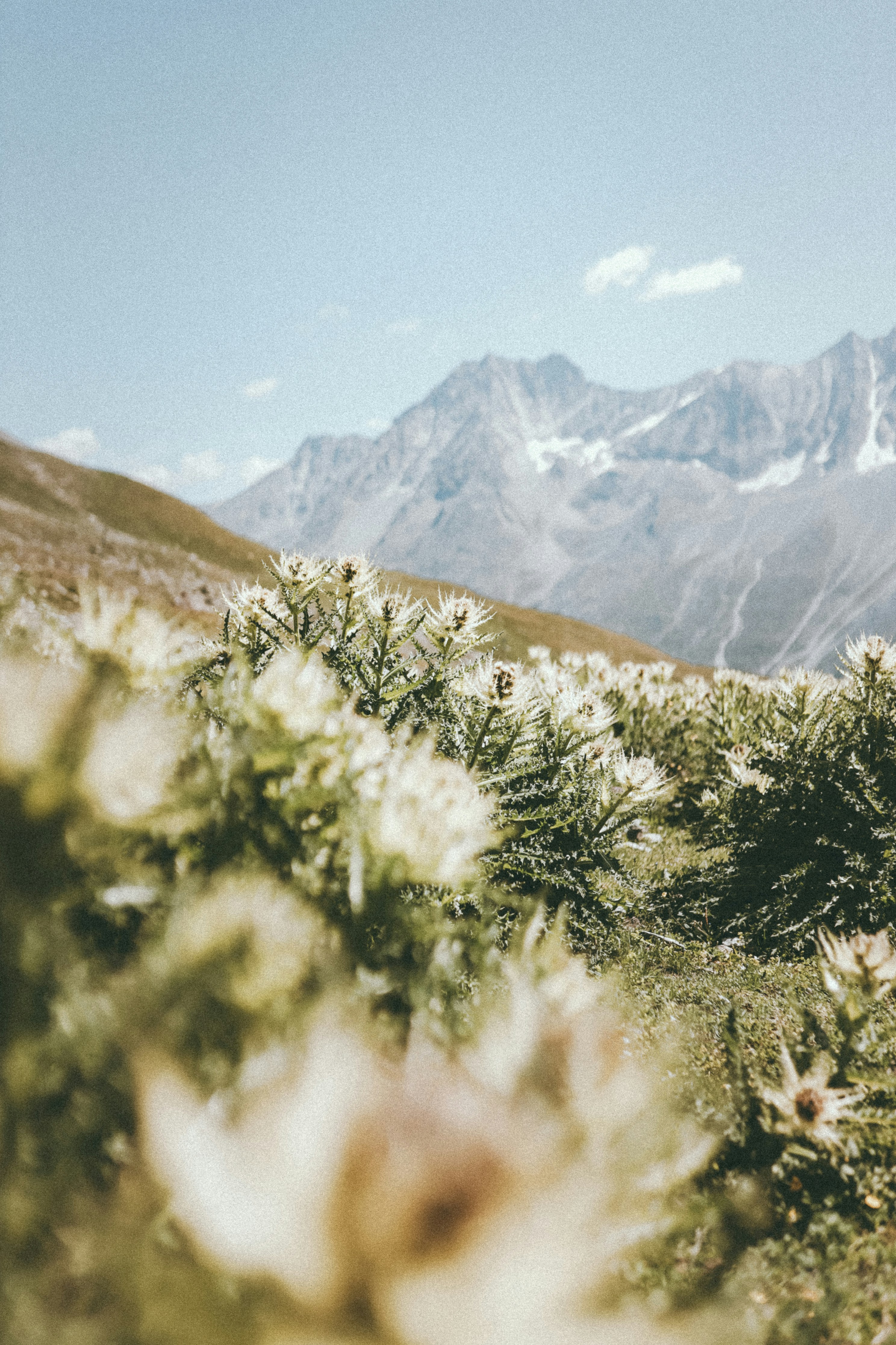 Photo by corina_rainer_