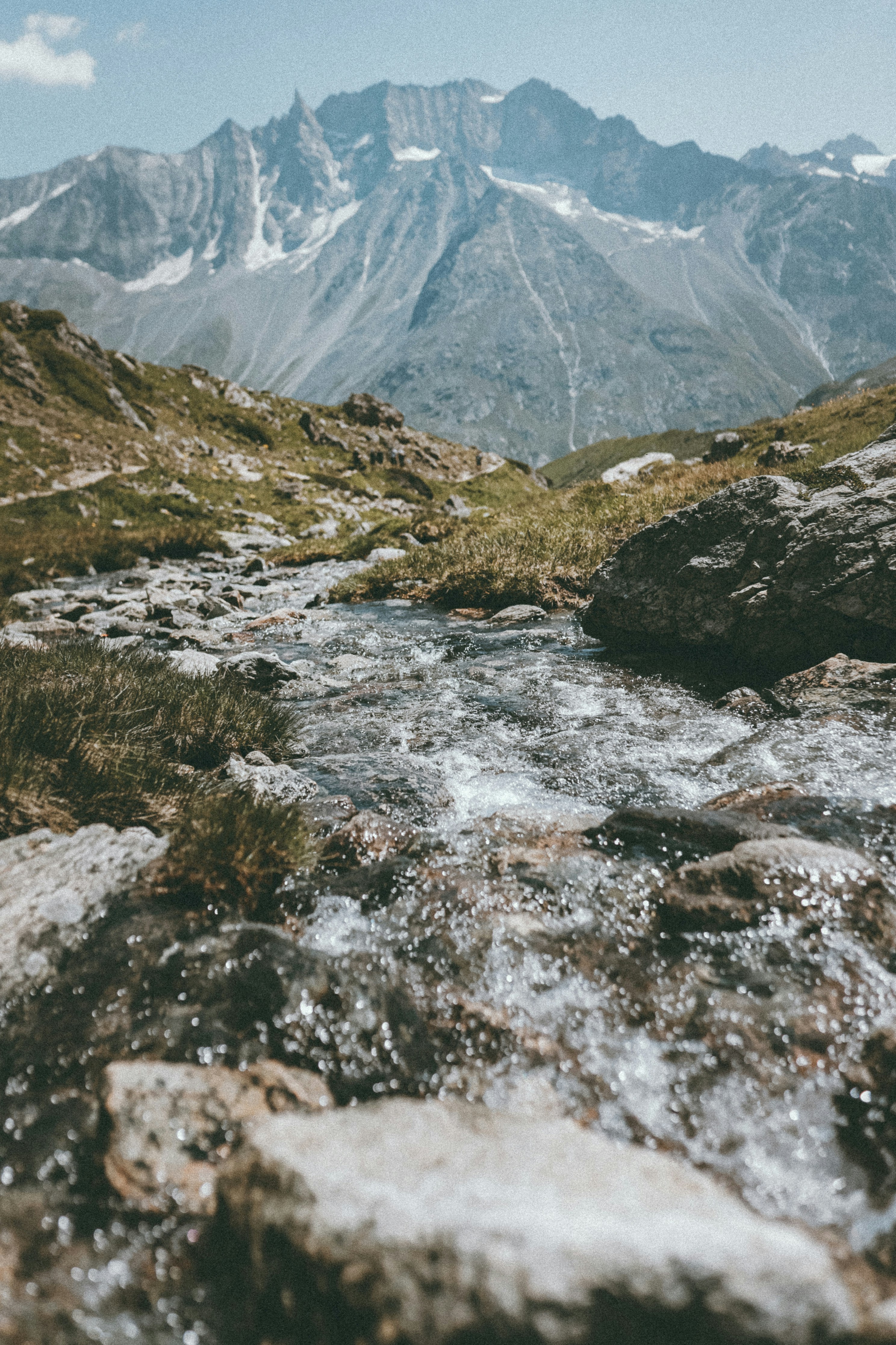 Photo by corina_rainer_