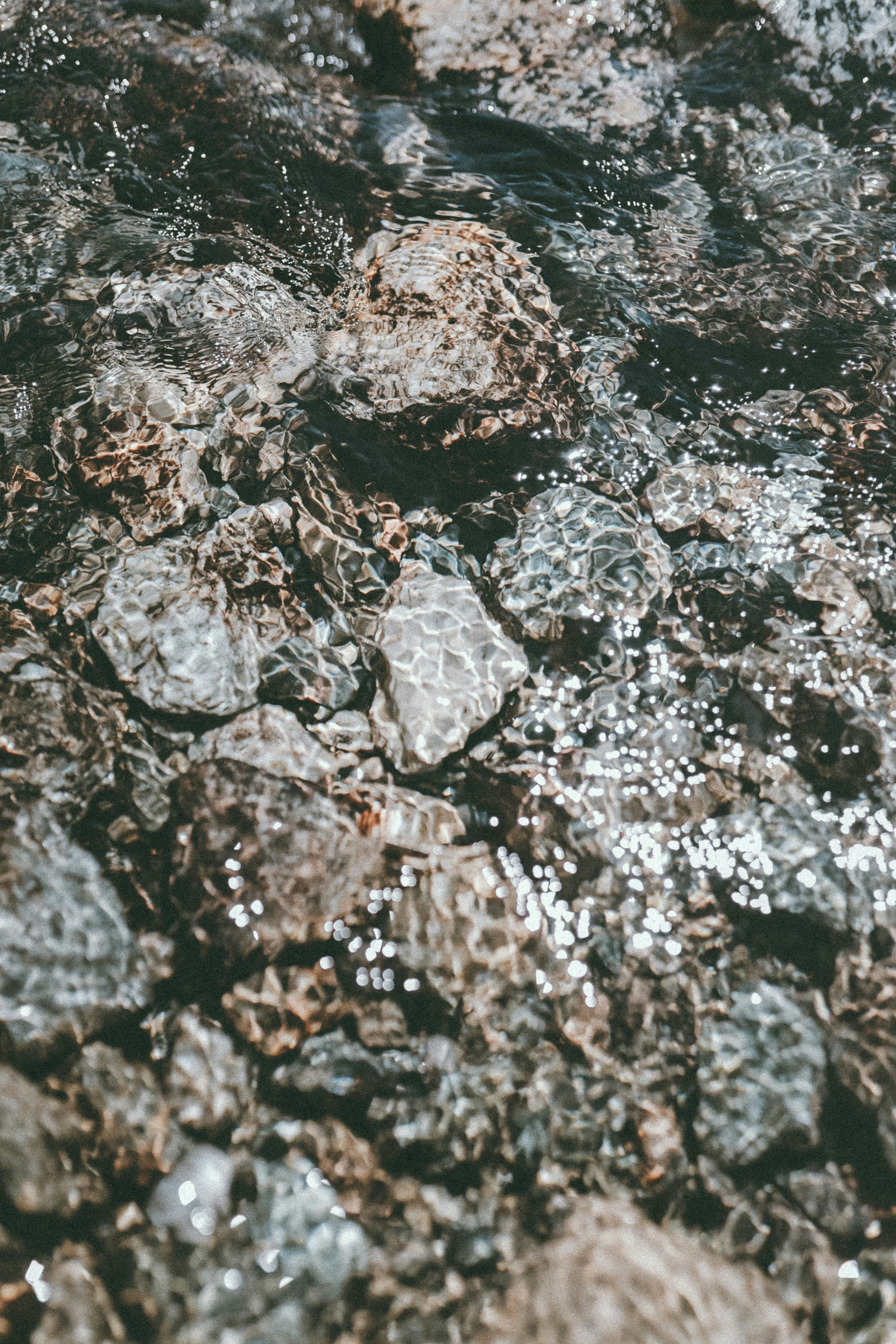 gray and black stone fragments