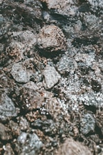 gray and black stone fragments