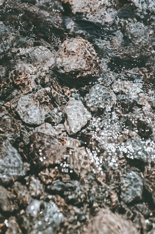 gray and black stone fragments