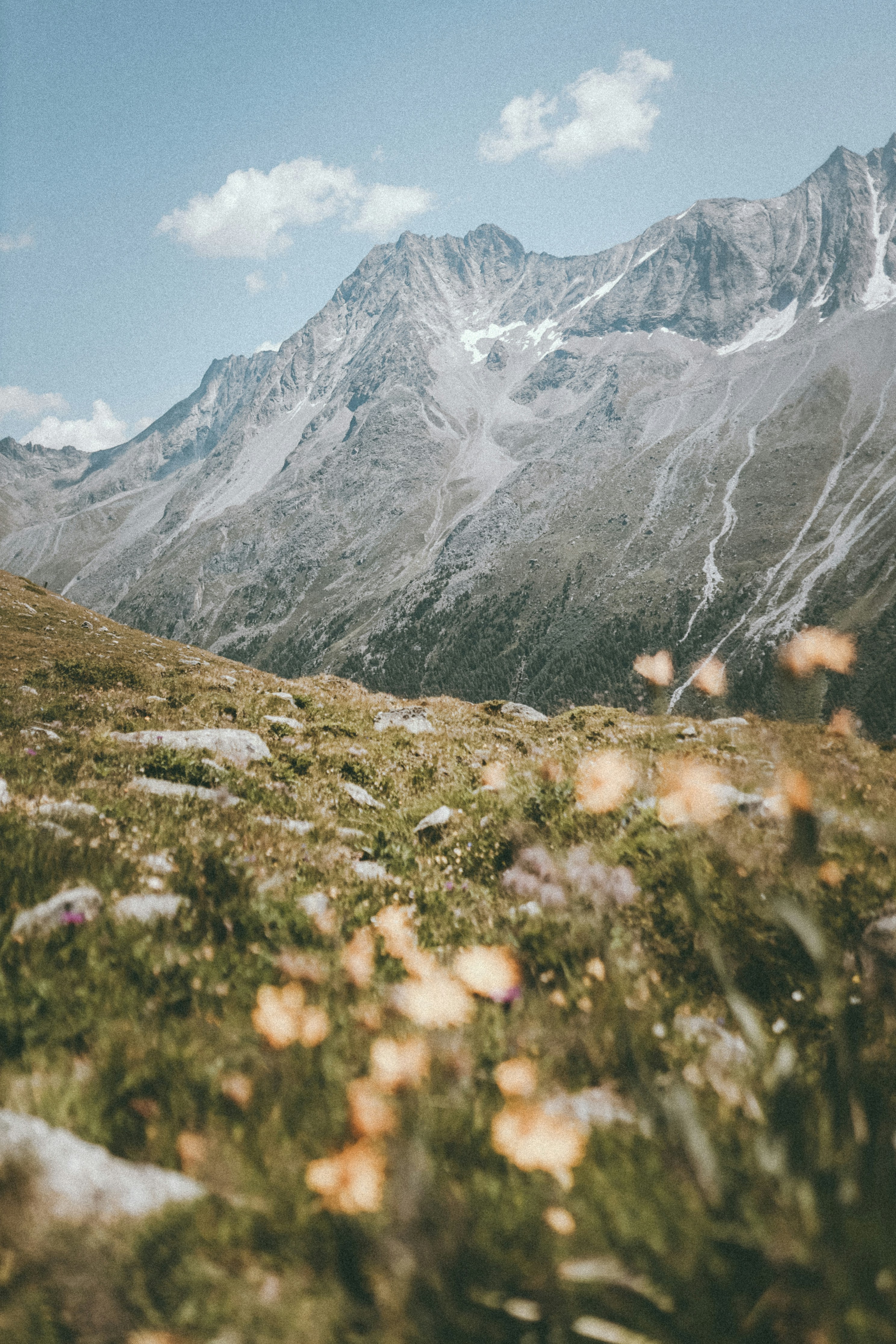 Photo by corina_rainer_