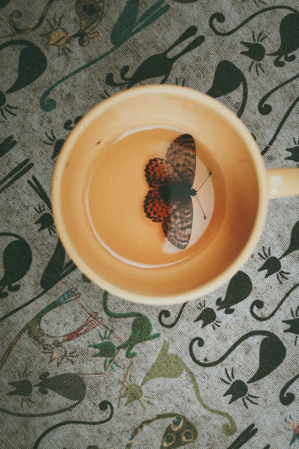 red and black raspberry on yellow ceramic mug