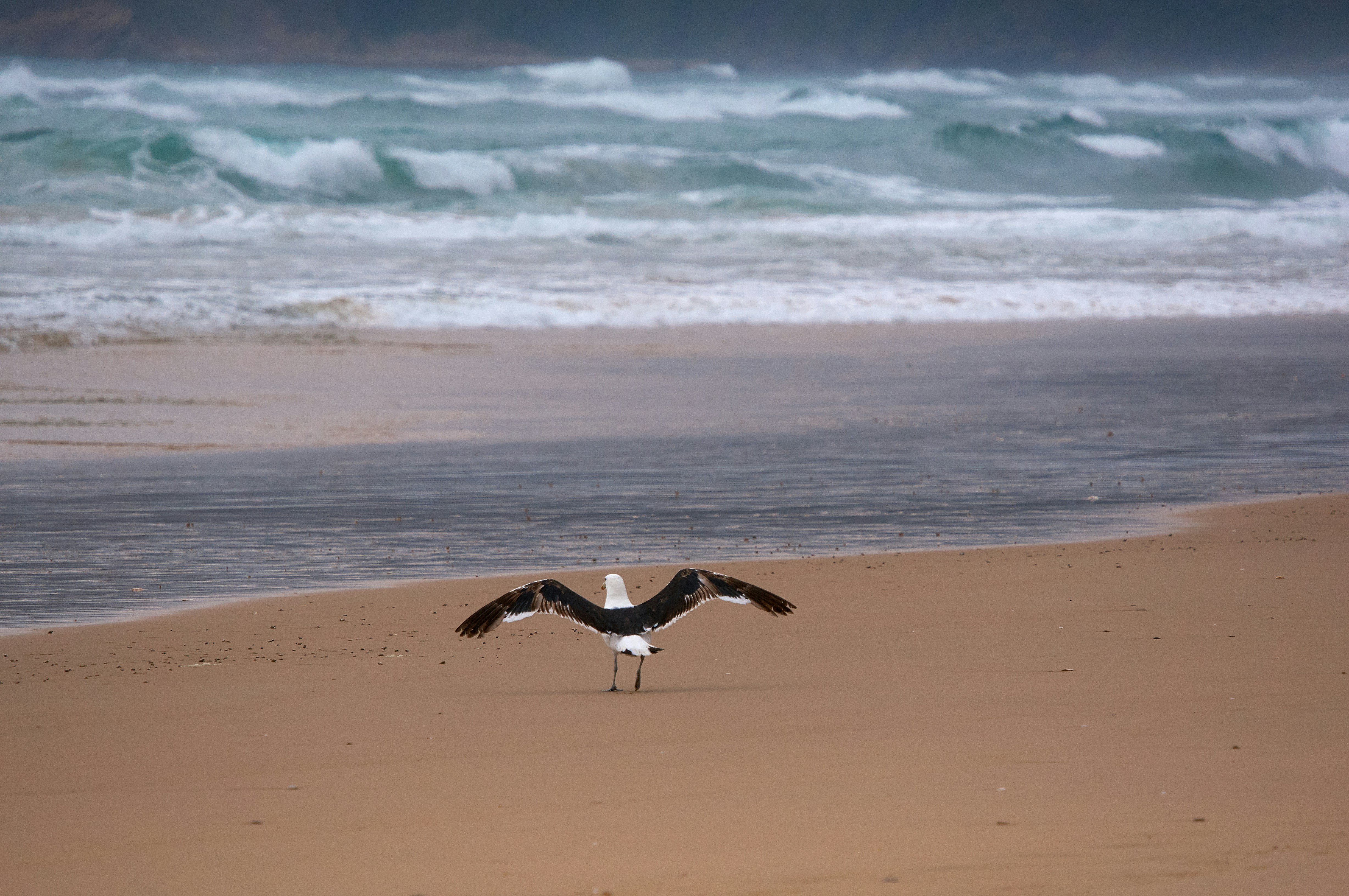 Photo by wolfgang_hasselmann