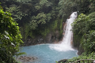 A tropical rainforest waterfall cascading into a turquoise pool below.
