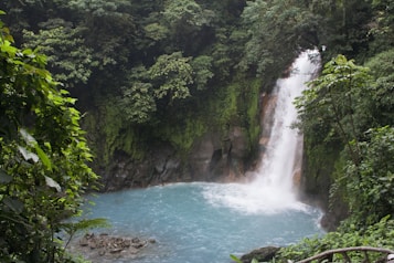 A beautiful waterfall cascades into a vibrant turquoise pool surrounded by lush green jungle foliage. The water flows over moss-covered rocks, creating a serene and tranquil scene.