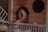 A small animal, possibly a hamster or a rat, is yawning inside a wooden house on a shelf. The house has an engraving labeled 'Green Farm' visible on the front. The scene is set in a cage with metal bars in the foreground.