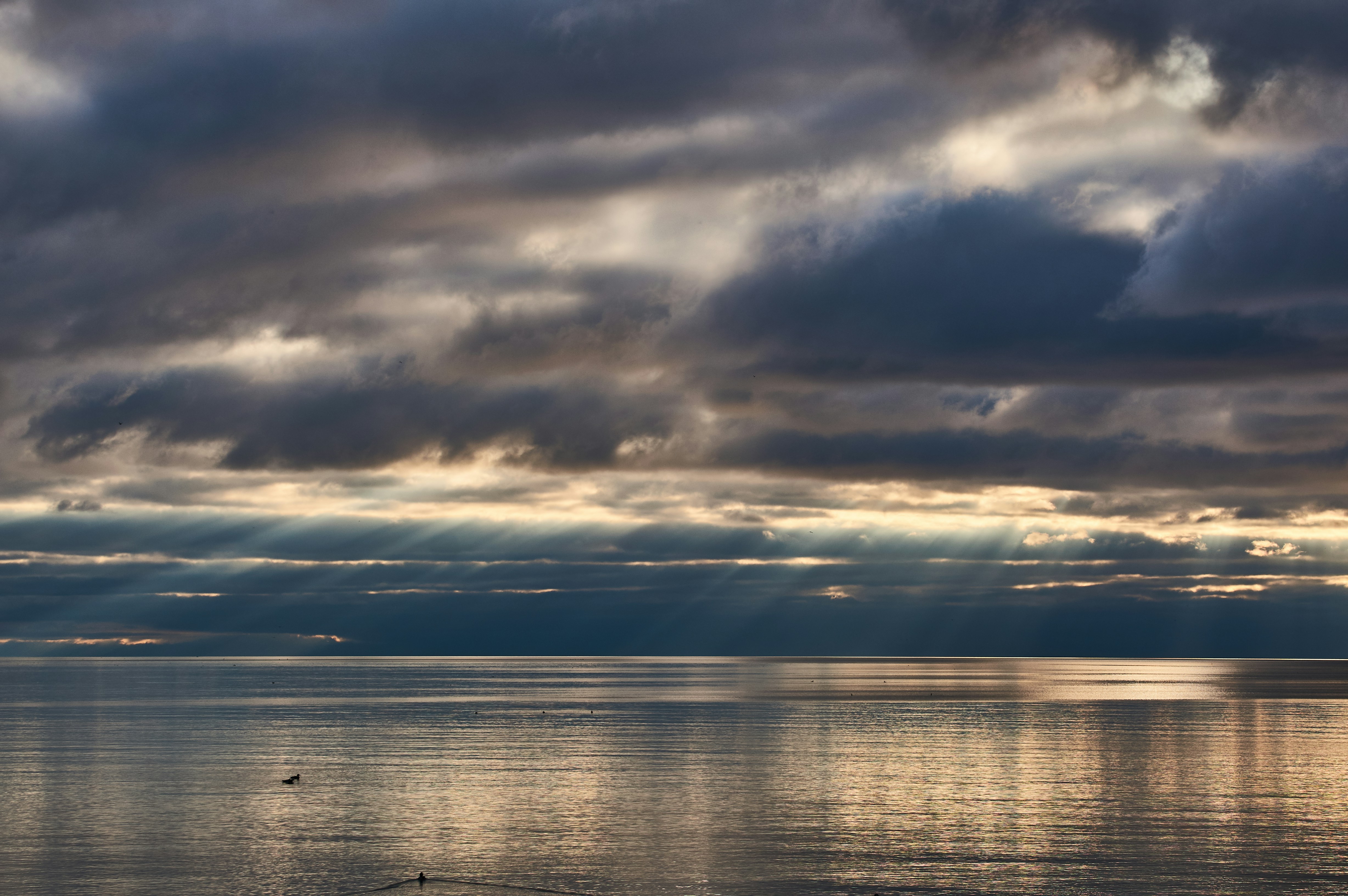 Photo by wolfgang_hasselmann