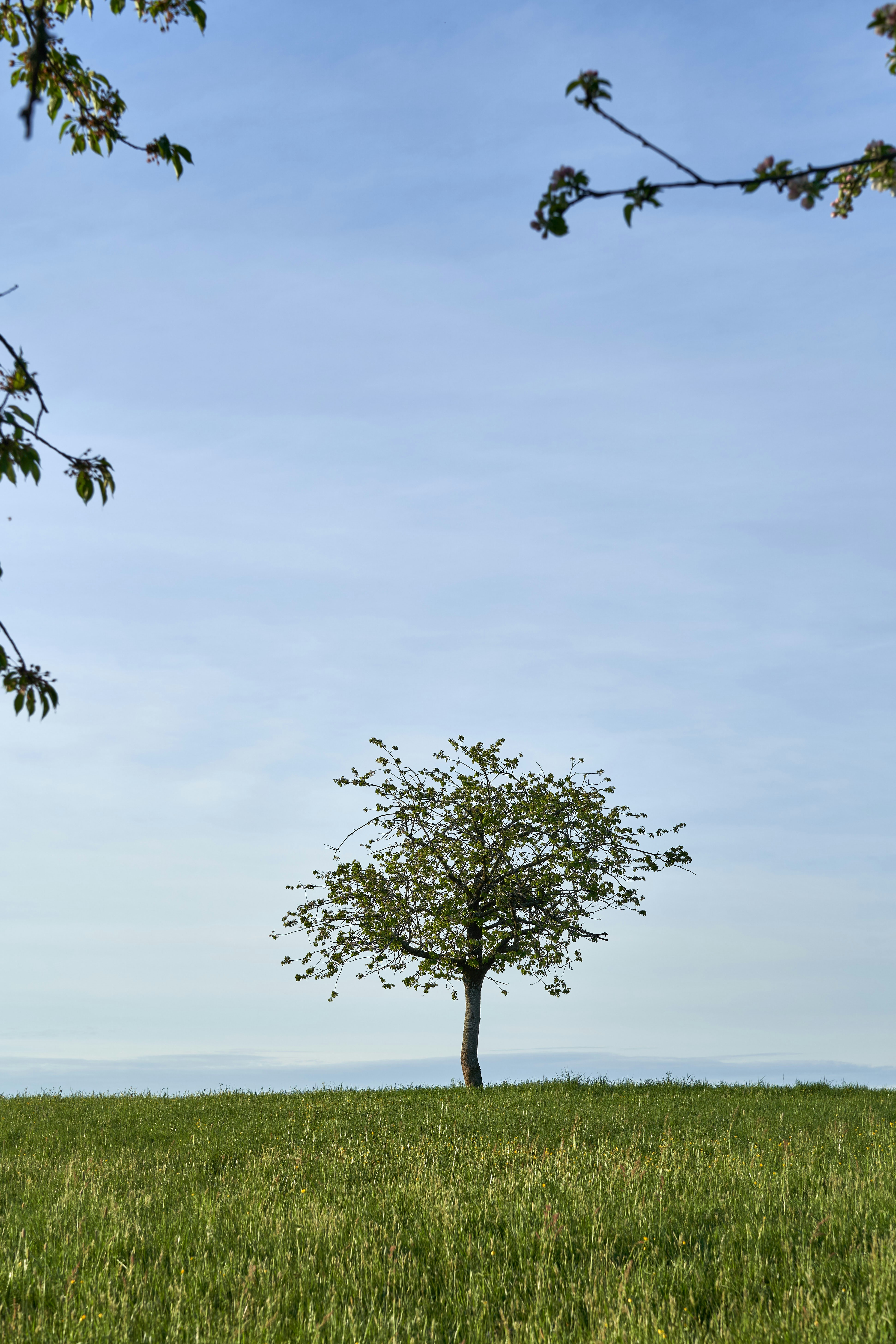 Photo by wolfgang_hasselmann