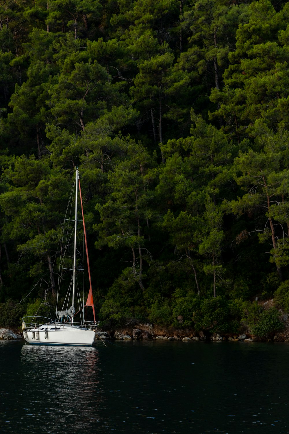 white sailboat on body of water near green trees during daytime