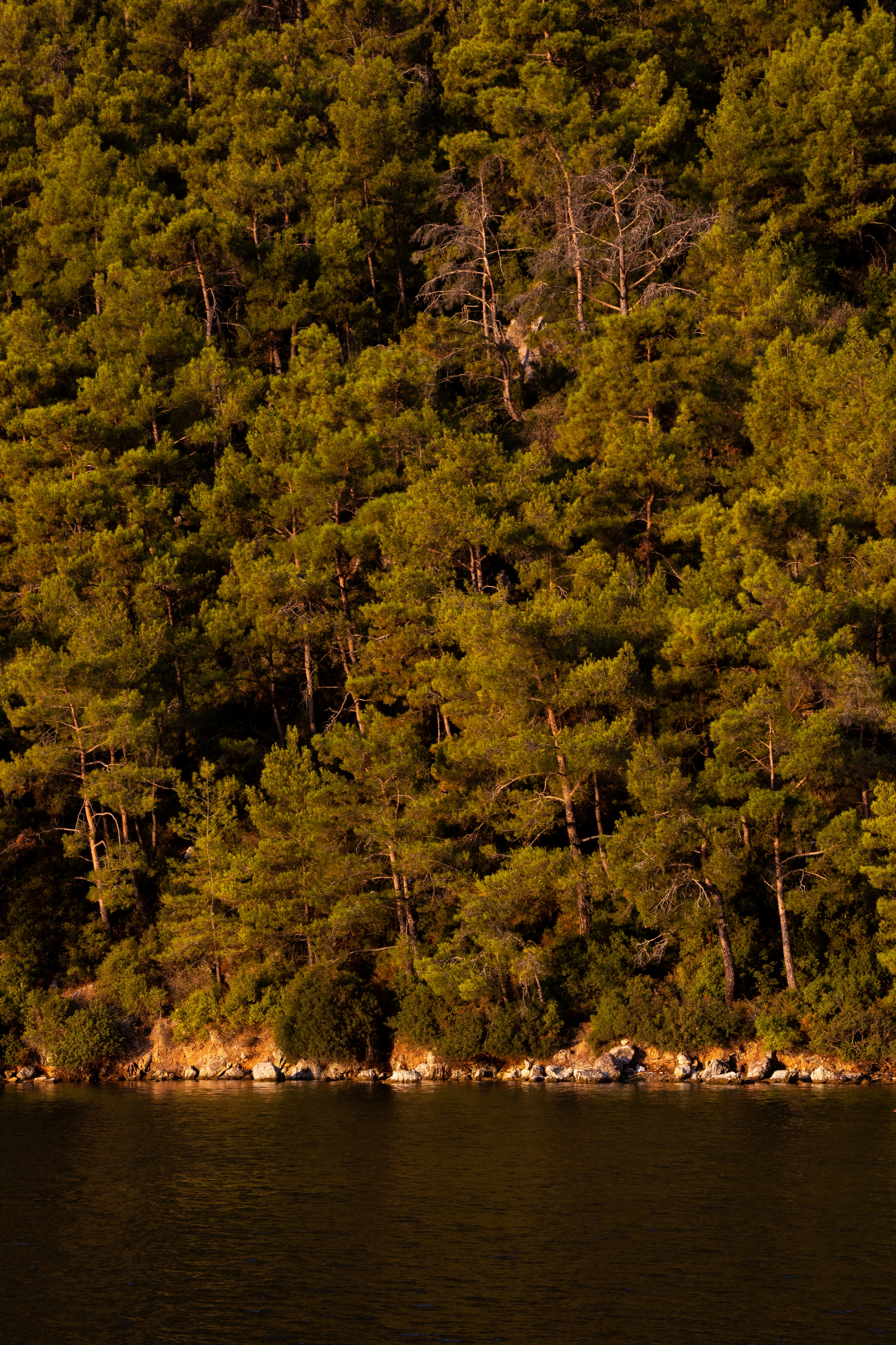 Photo by mehmetalituran