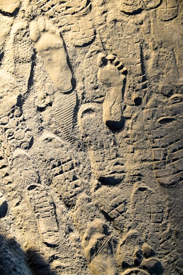 Various footprints and shoe prints are embedded in a sandy or dusty surface, capturing different shapes and patterns. The imprints vary from bare human feet to different types of shoe soles.