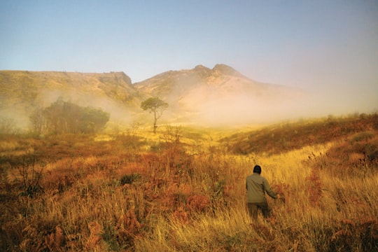 man in gray jacket standing on brown grass field during daytime in Central Java Indonesia