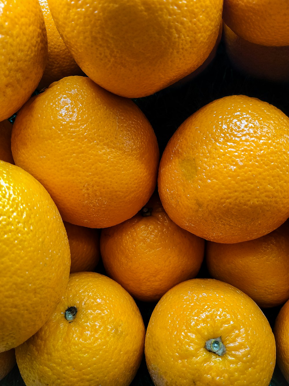 オレンジ色の果物の接写写真