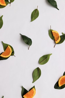 green leaves on white surface