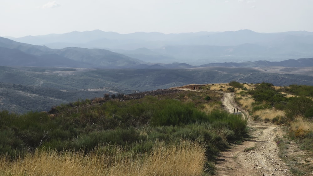 Campo de hierba verde cerca del cuerpo de agua durante el día