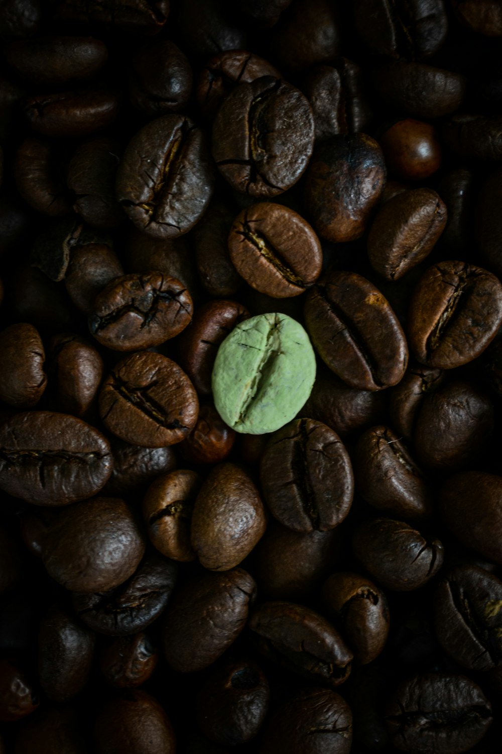 brown coffee beans with green leaf