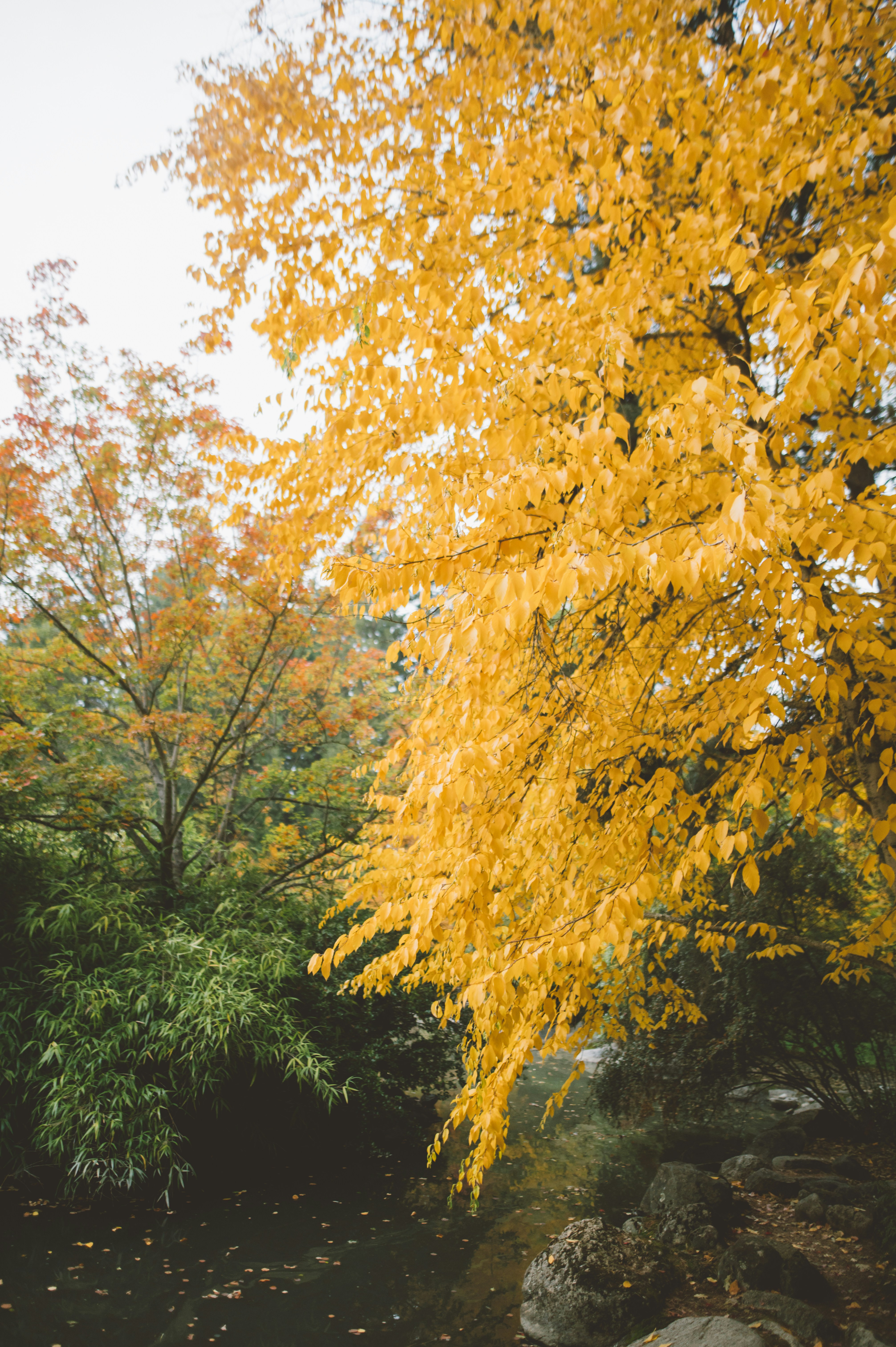 Photo by ayeeitscorrupt