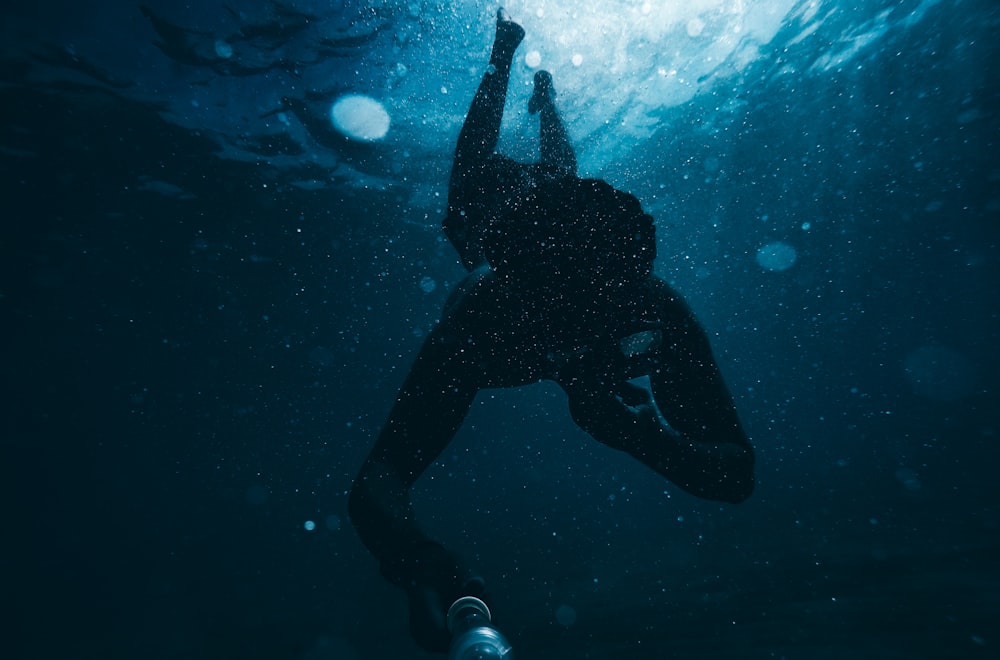 person in black diving suit under water